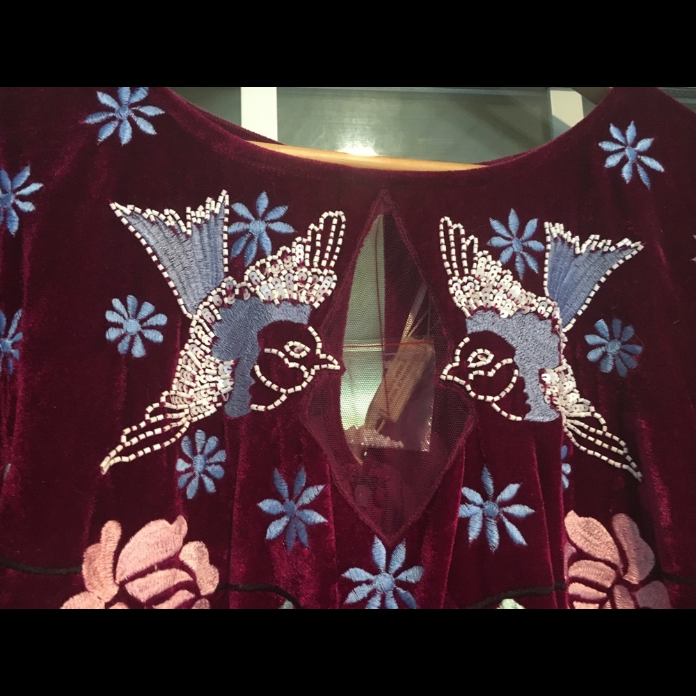 NWT velvet embroidered skater dress